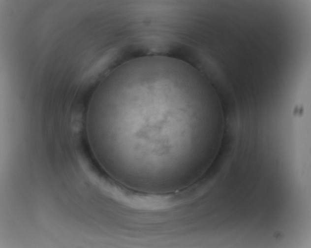 X0000114650032200910201518