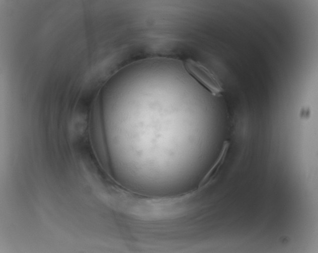 X0000114650033200910201518