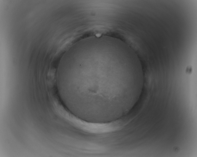 X0000114650034200910201518