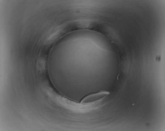 X0000114650035200910201518