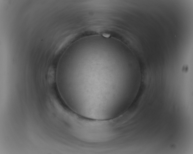 X0000114650036200910201518