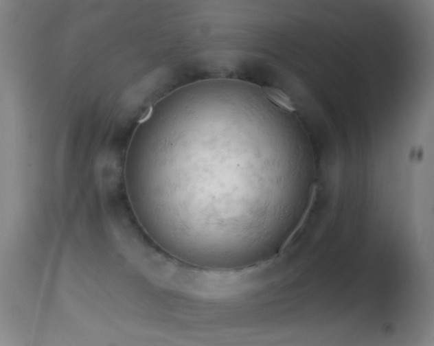 X0000114650037200910201518