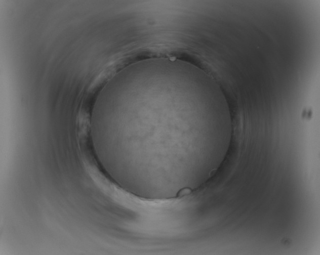 X0000114650038200910201518