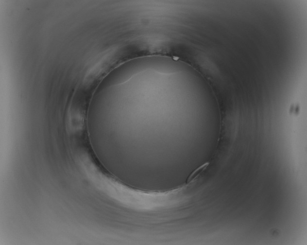 X0000114650039200910201518