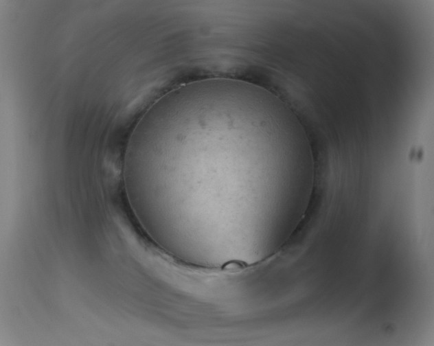 X0000114650040200910201518