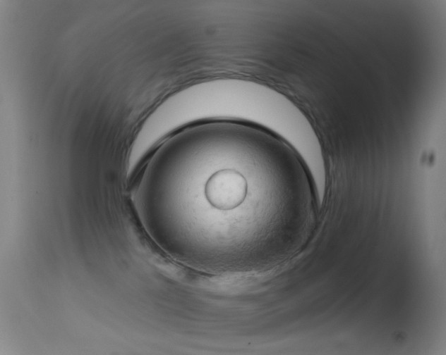 X0000114650041200910201518