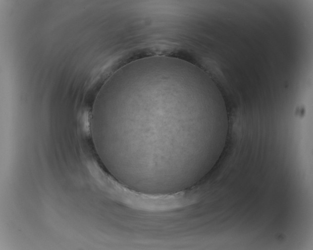 X0000114650042200910201518