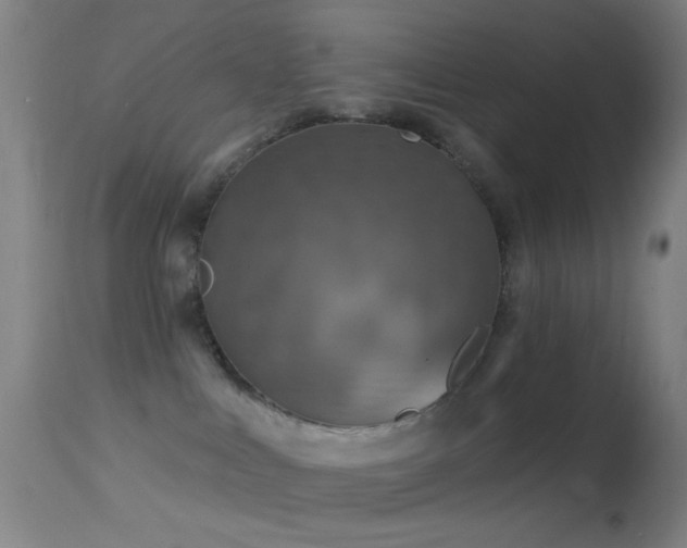 X0000114650043200910201518