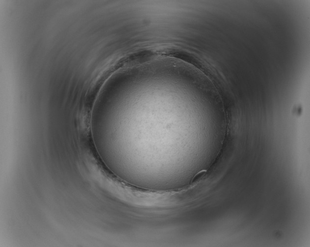 X0000114650044200910201518