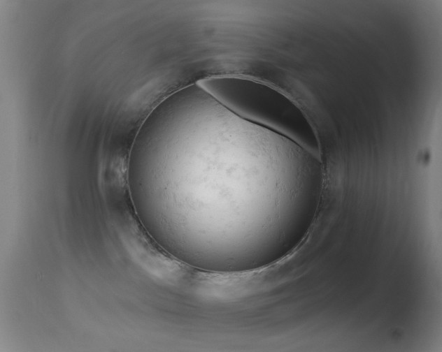 X0000114650045200910201518