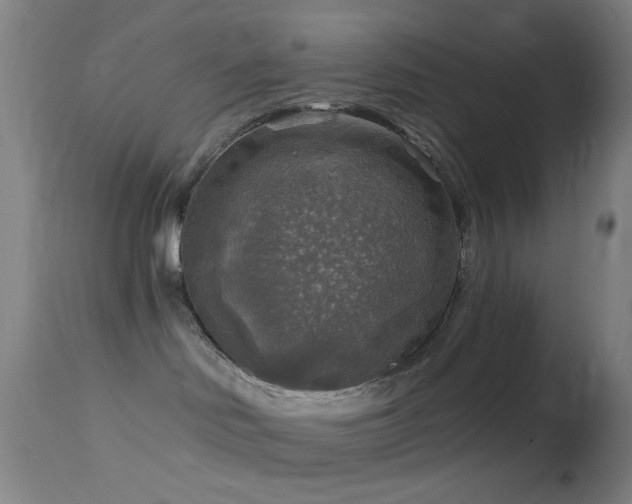 X0000114650046200910201518