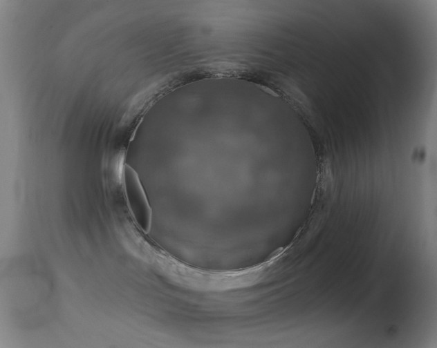 X0000114650047200910201518