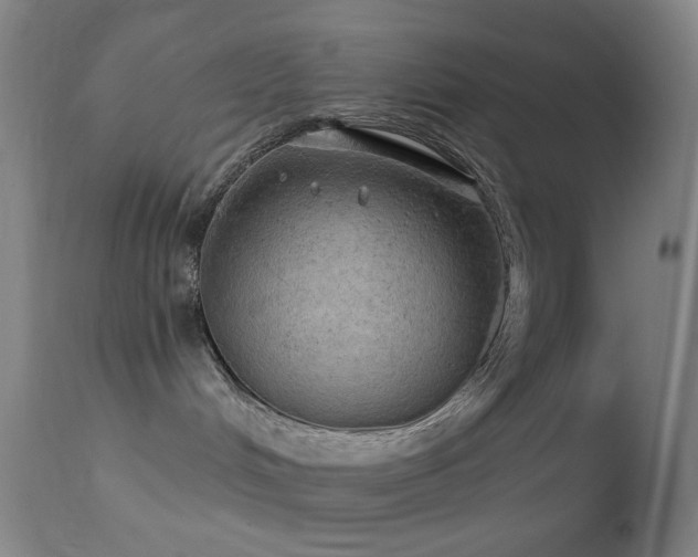 X0000114650048200910201518