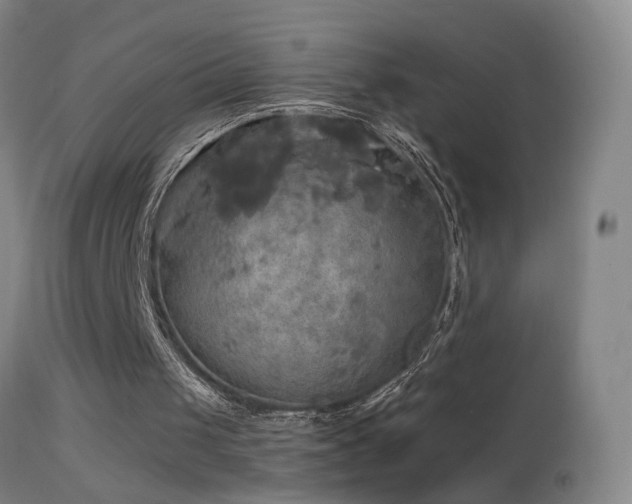 X0000114650049200910201517