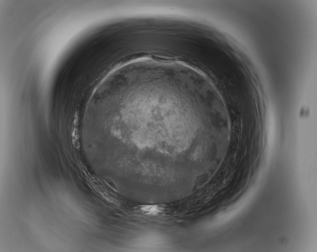 X0000114650050200910201517