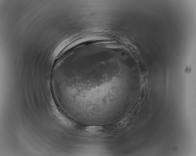 X0000114650051200910201517