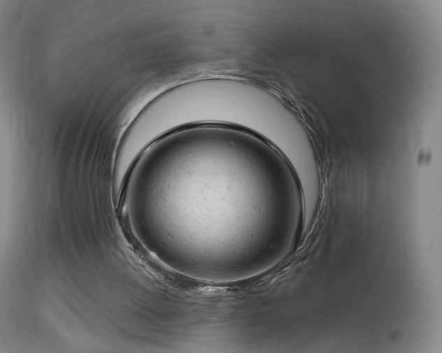 X0000114650052200910201517