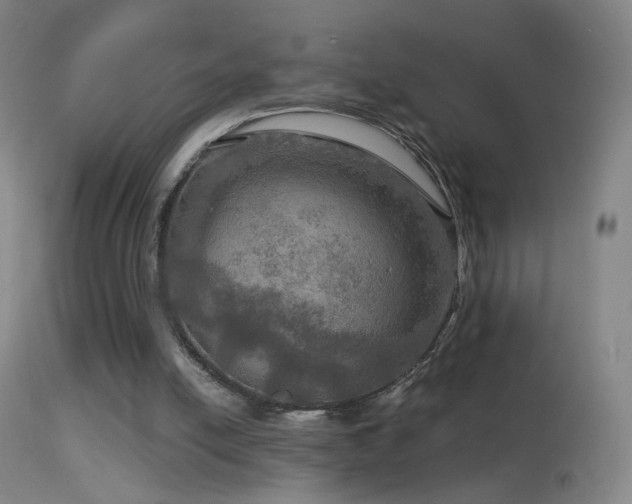 X0000114650054200910201517