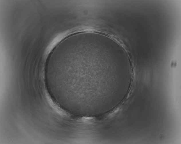 X0000114650055200910201517