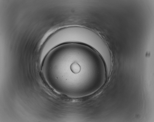 X0000114650056200910201517