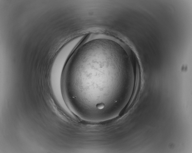 X0000114650057200910201517