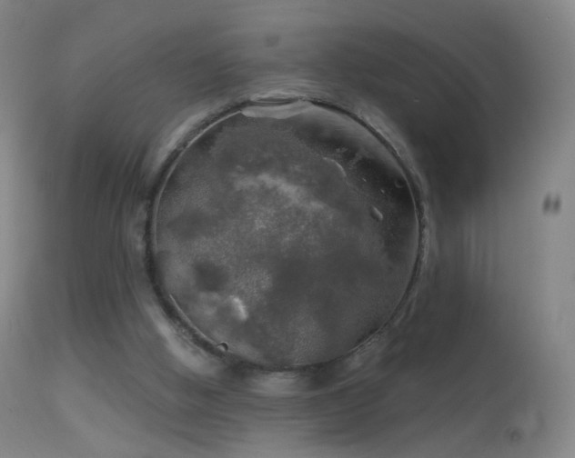 X0000114650058200910201517