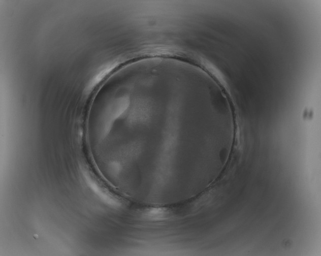 X0000114650059200910201517