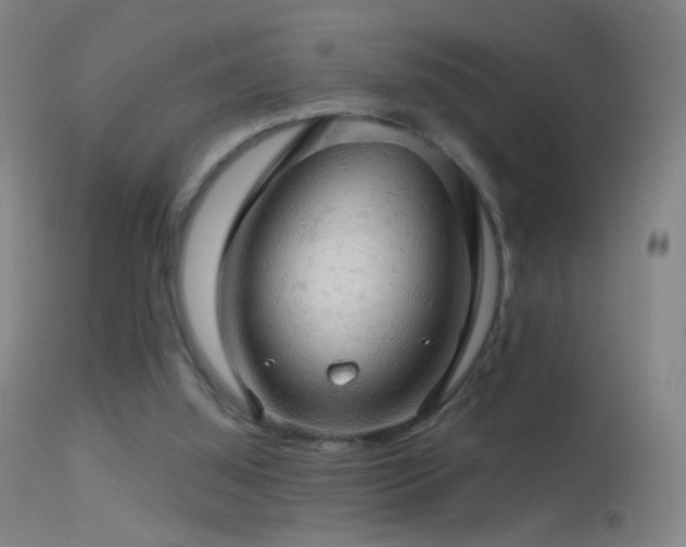 X0000114650060200910201517