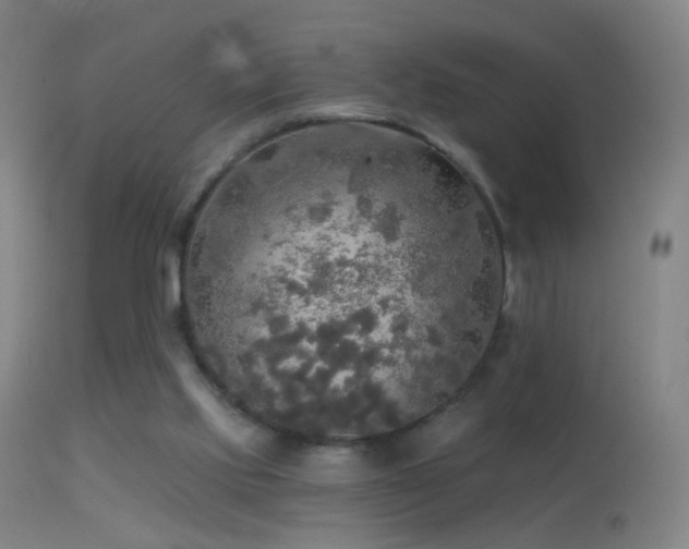 X0000114650061200910201517