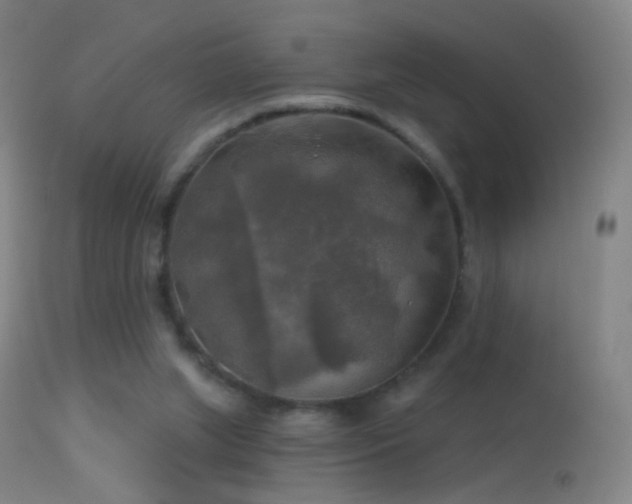 X0000114650063200910201517