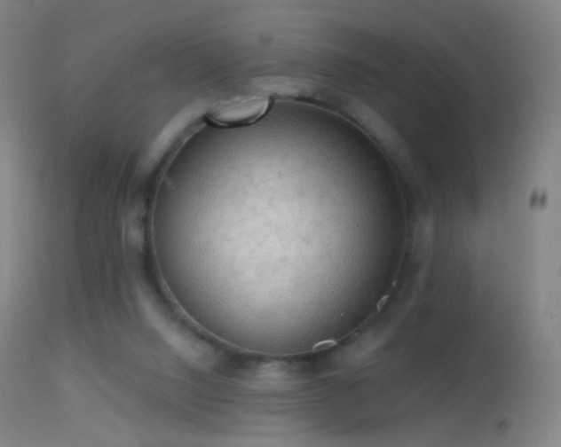 X0000114650064200910201517