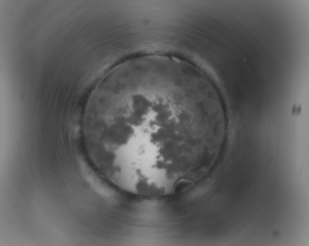 X0000114650065200910201517