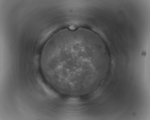 X0000114650066200910201517