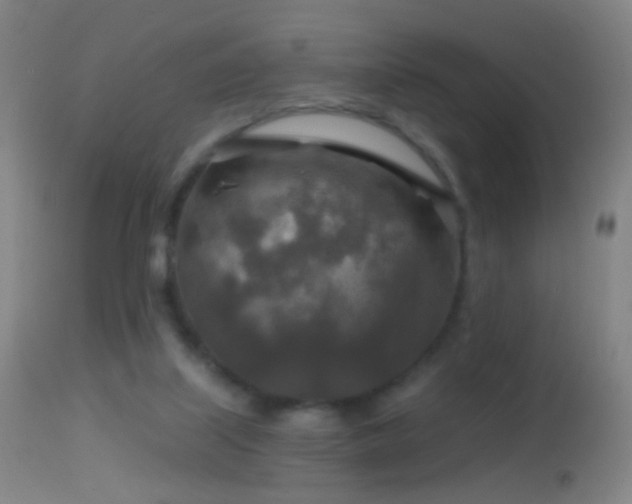 X0000114650067200910201517