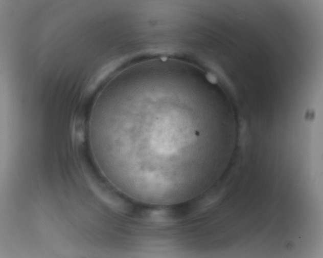 X0000114650068200910201517