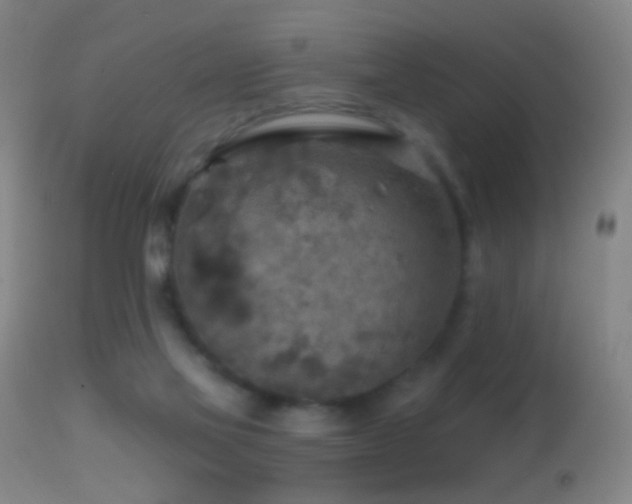 X0000114650069200910201517