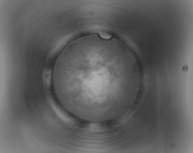 X0000114650070200910201517