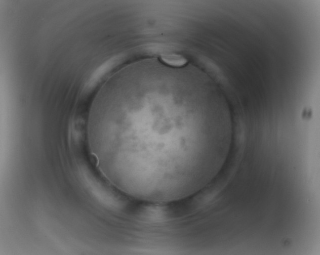 X0000114650071200910201517