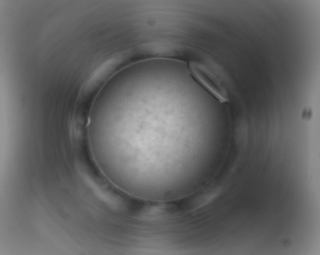 X0000114650072200910201517