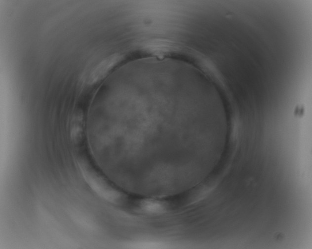 X0000114650073200910201517