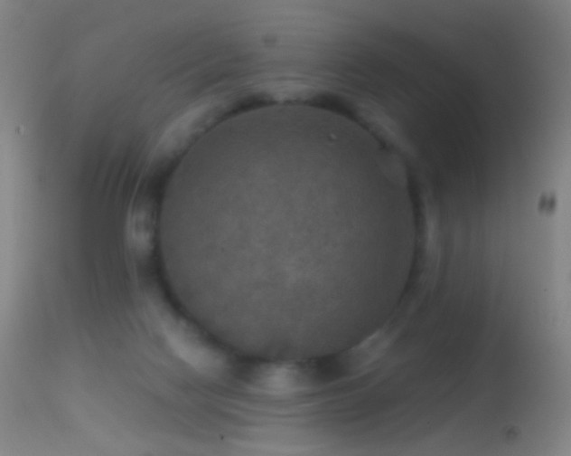 X0000114650074200910201518