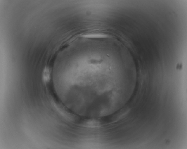 X0000114650075200910201518