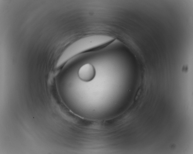 X0000114650076200910201518