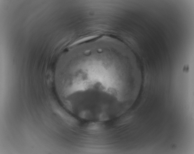 X0000114650077200910201518