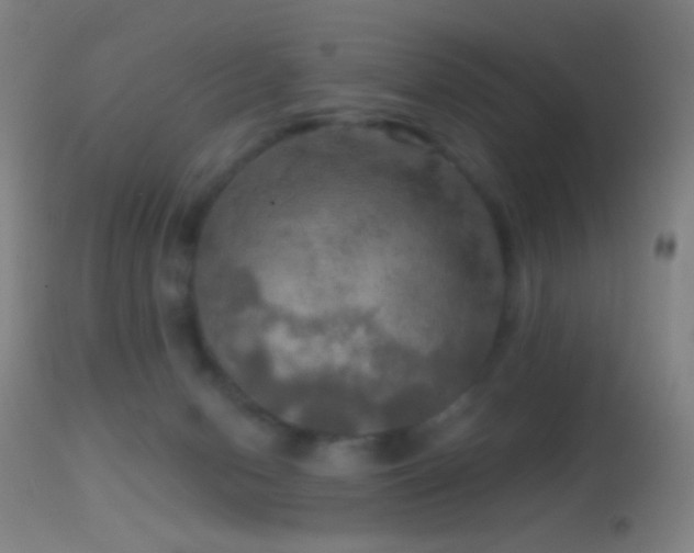 X0000114650078200910201518