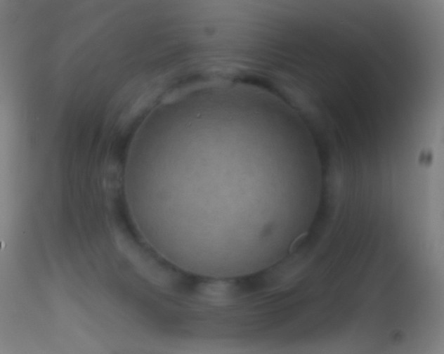 X0000114650079200910201518