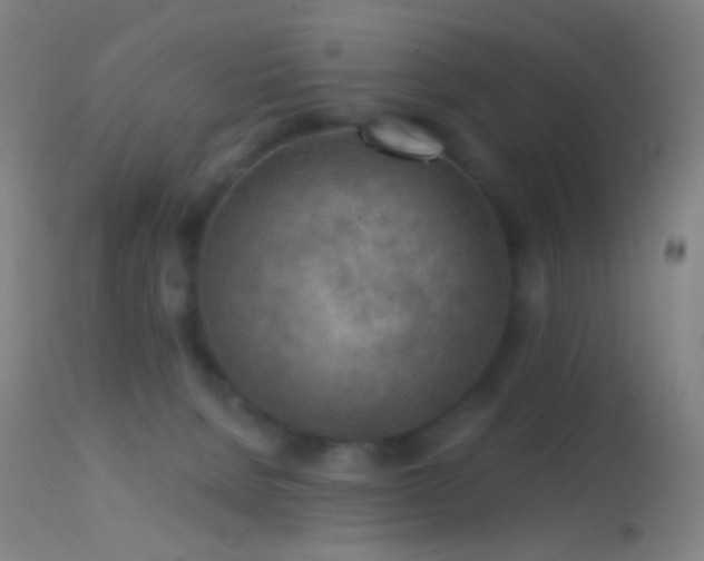 X0000114650080200910201518