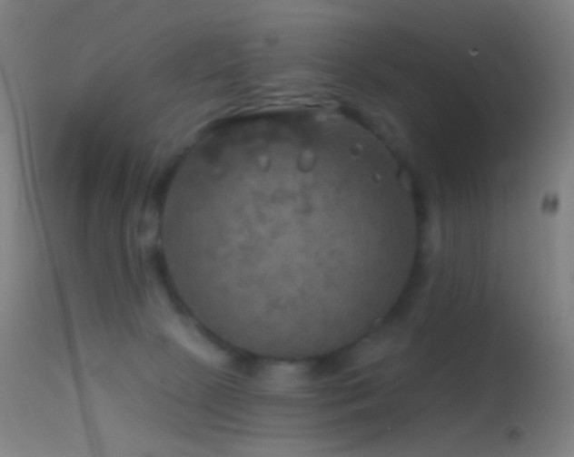 X0000114650081200910201518