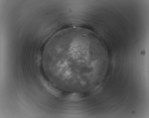 X0000114650082200910201518