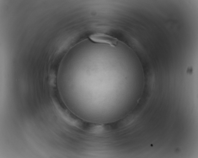 X0000114650083200910201518